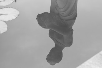 A reflective image symbolizing resilience and recovery.