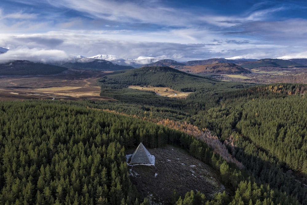 Una vista aérea de un bosque con montañas al fondo