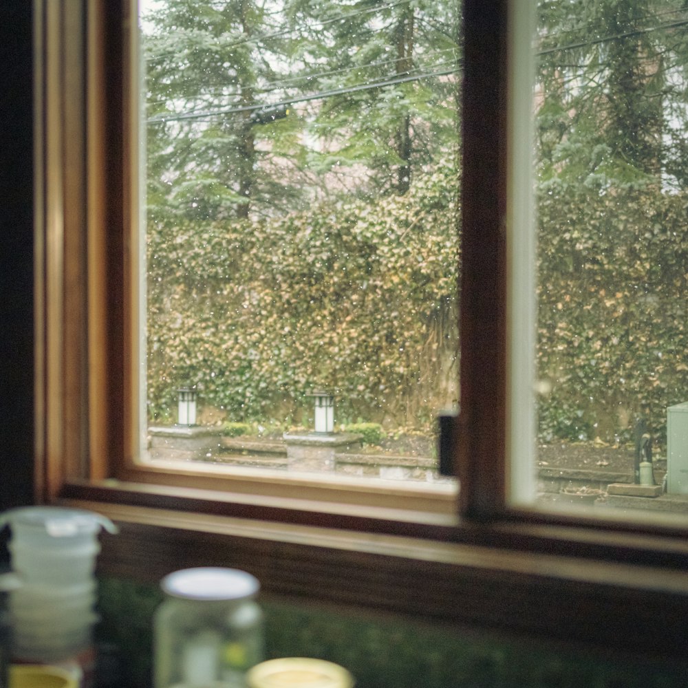 a window with a view of a park outside