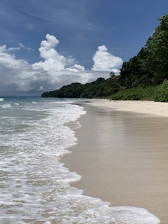 A serene beach at sunrise with green trees swaying gently under a bright blue sky.