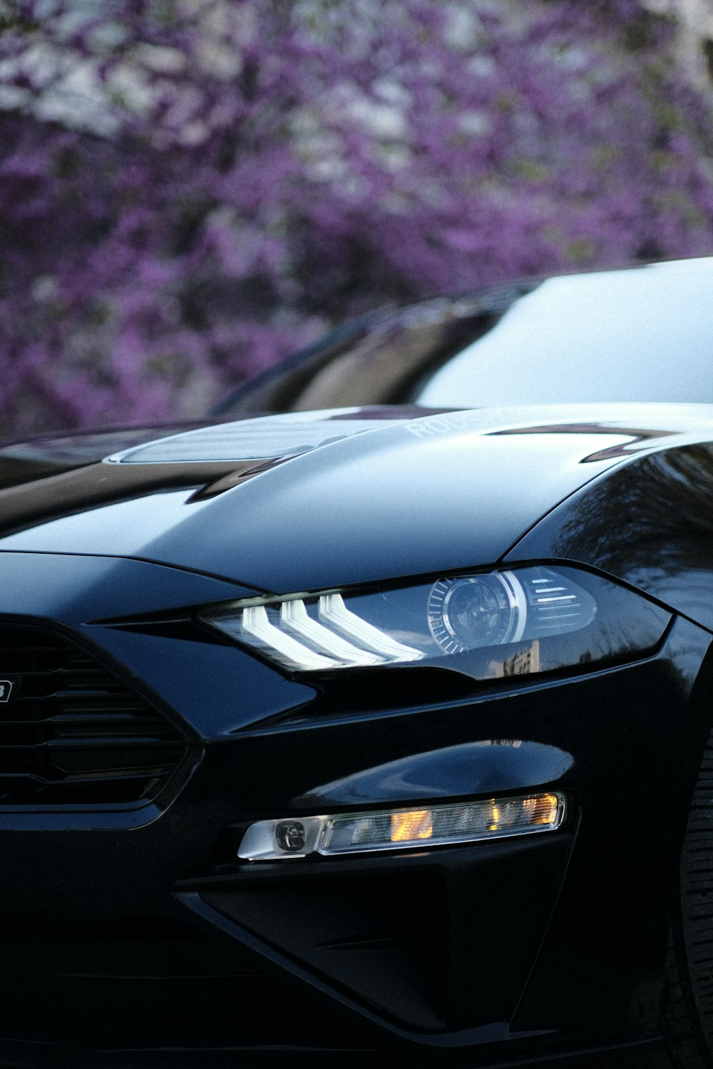 a close up of the front of a black car