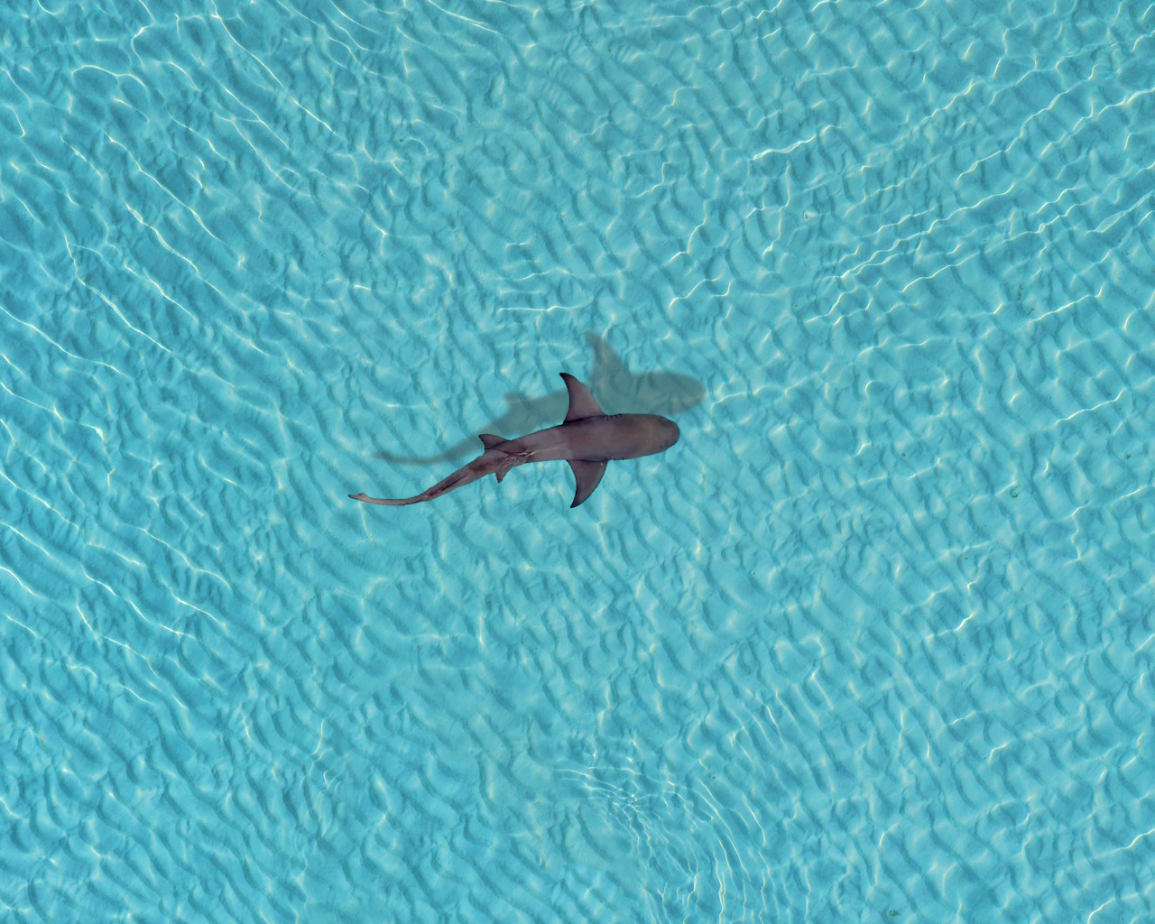 Foto de Pacific Master — Bikini Atoll
