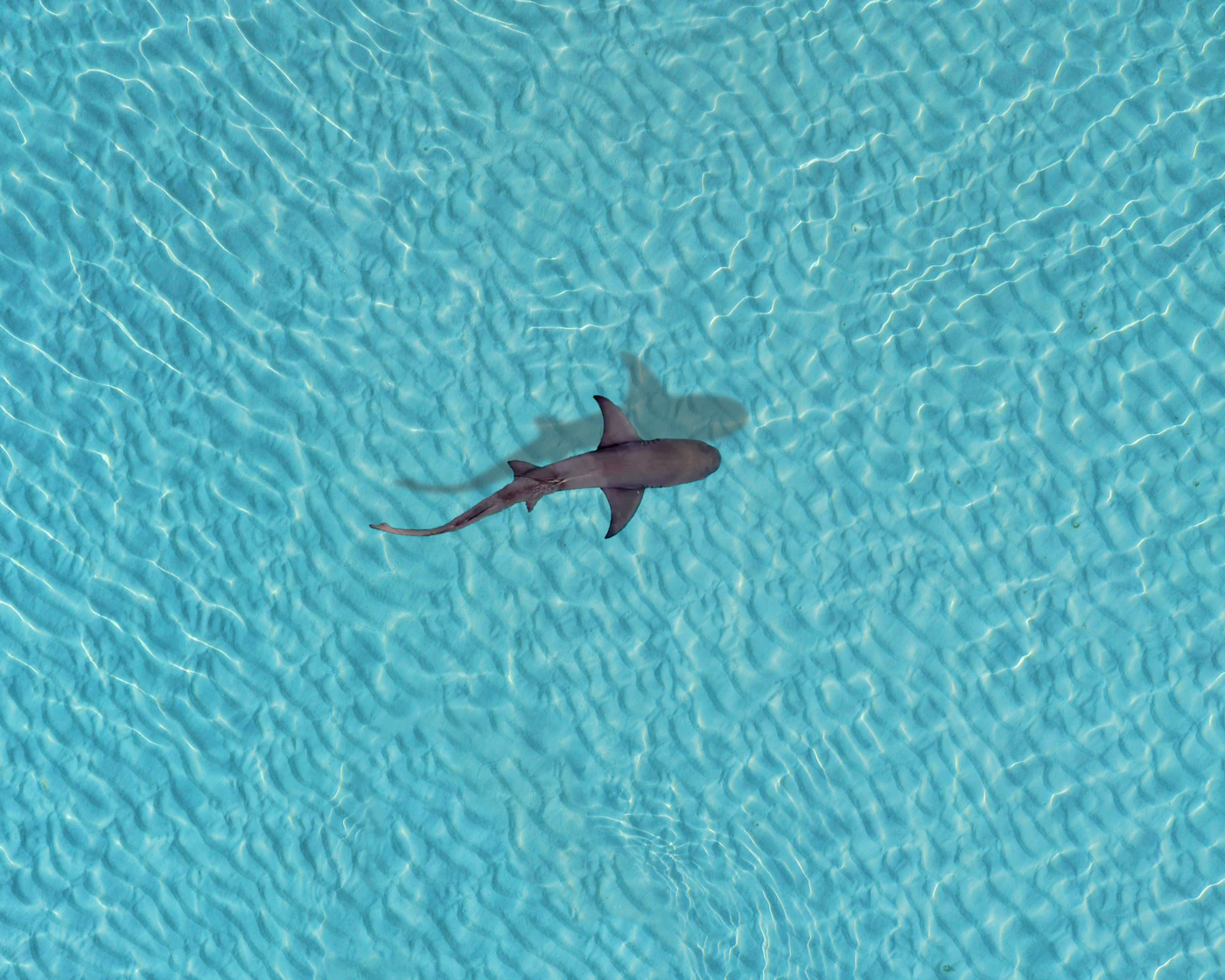 Pacific Master — Bikini Atoll 풍경