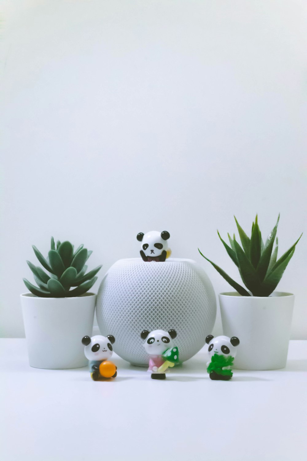 a group of panda bears sitting in front of plants