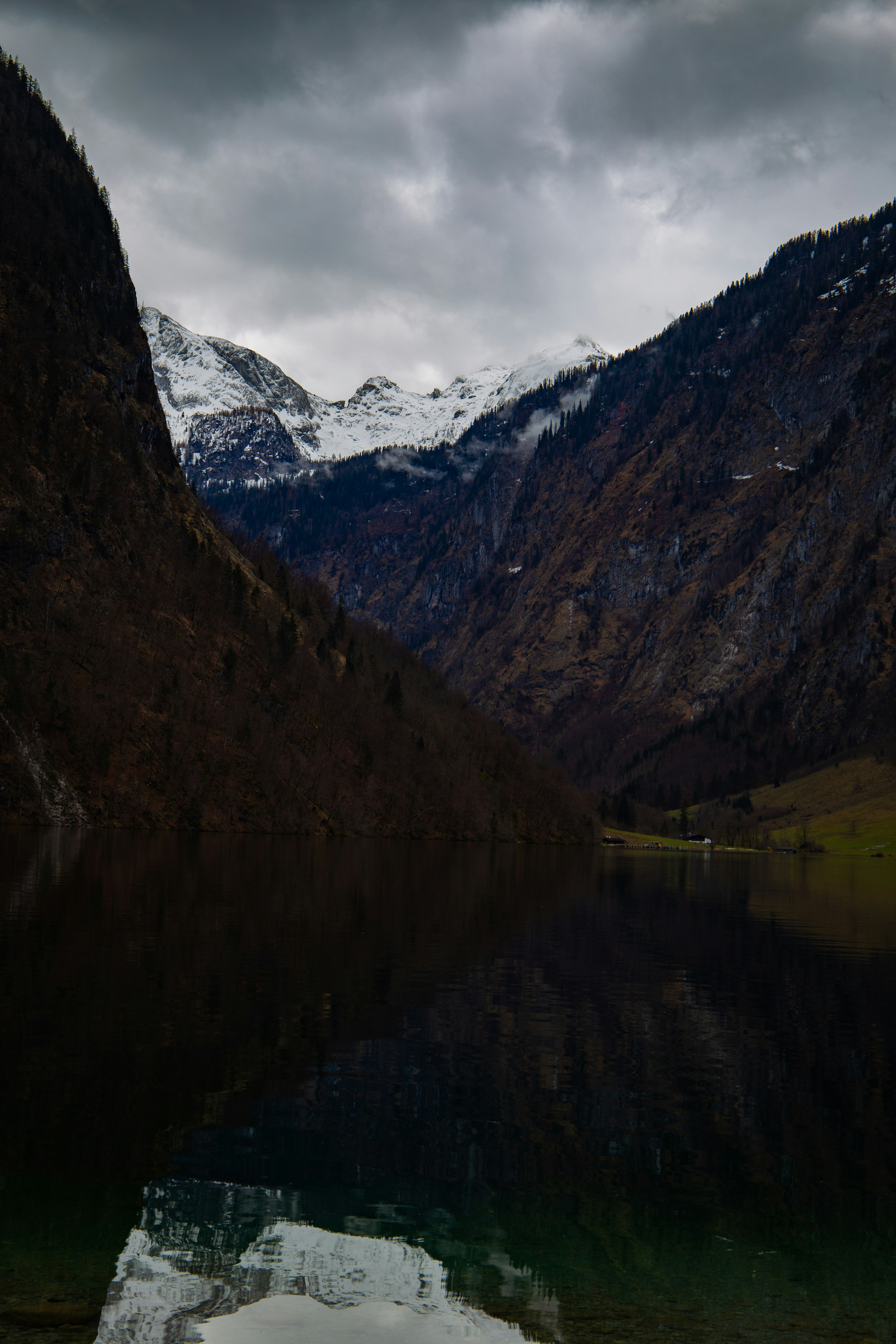 Photo by erik_ada