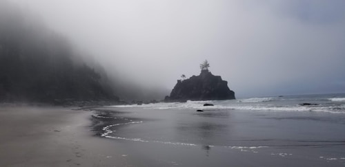 A misty beach scene with a rocky outcrop in the ocean and waves gently lapping against the shore. A few trees are perched on the rock, and the sky is overcast, creating a mysterious and serene atmosphere.