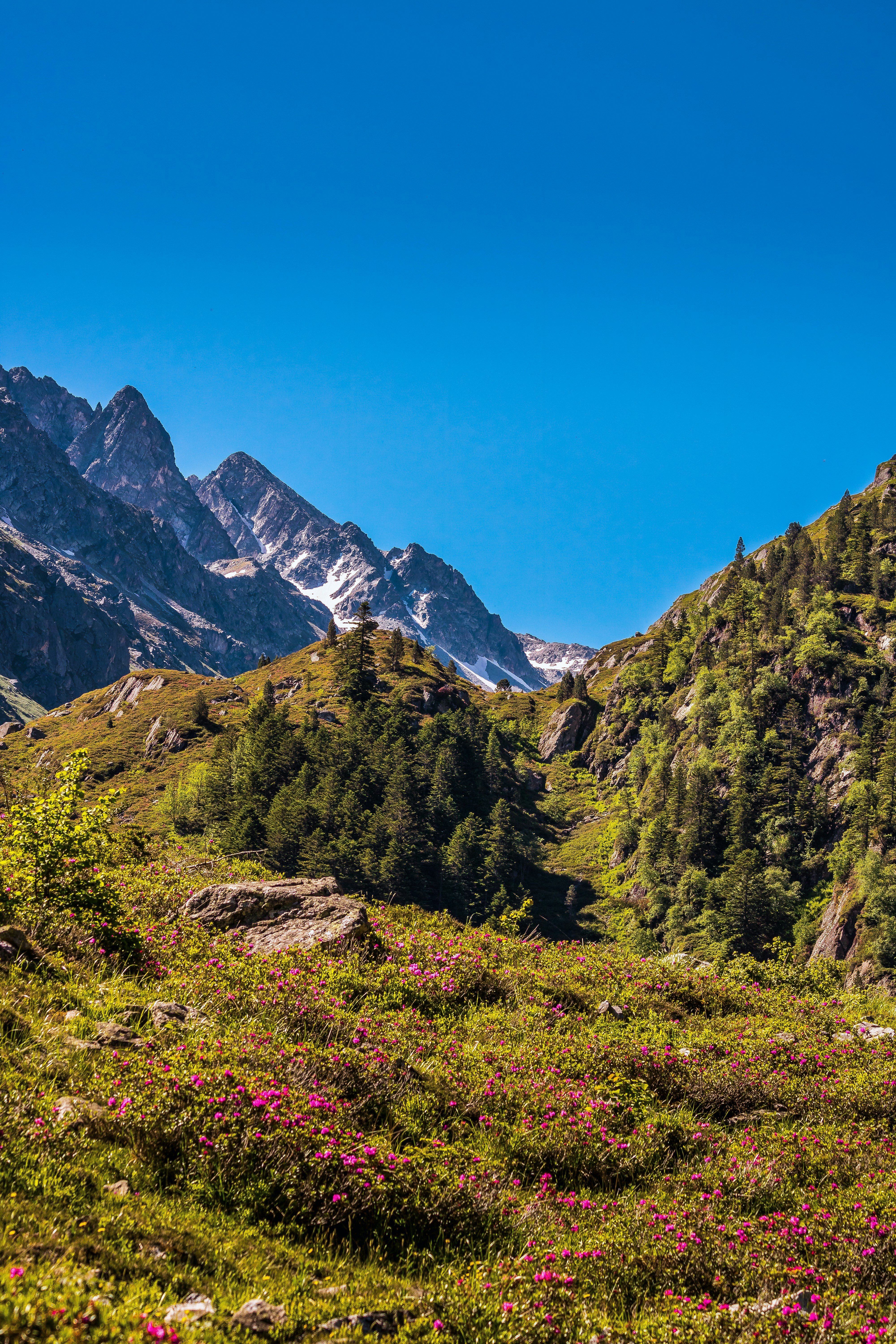 Photo by gaetanthurin