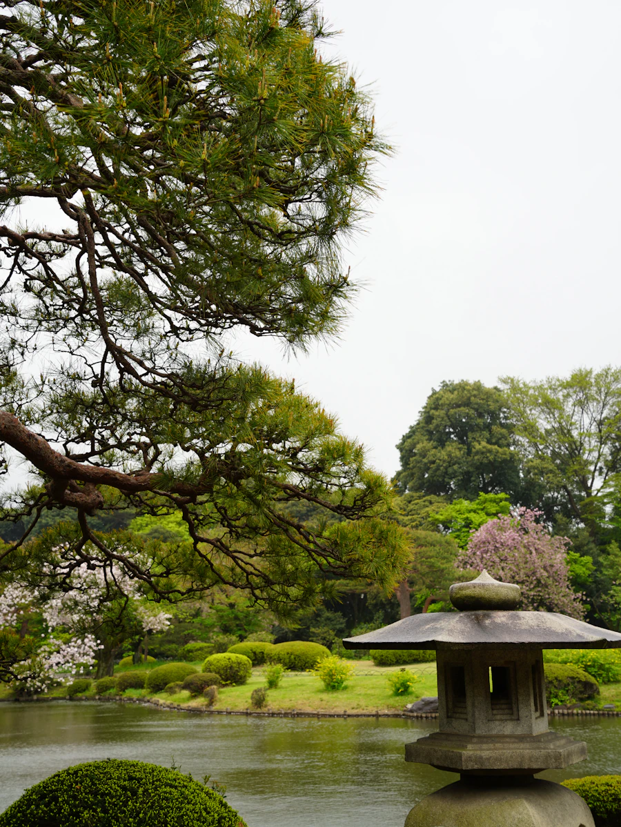 Shinjuku Gyoen National Garden in Tokyo