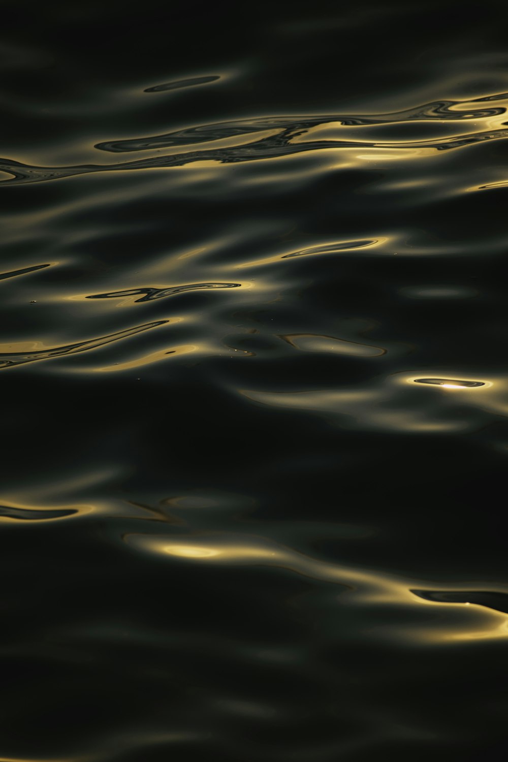 ein schwarz-gelbes Foto eines Gewässers