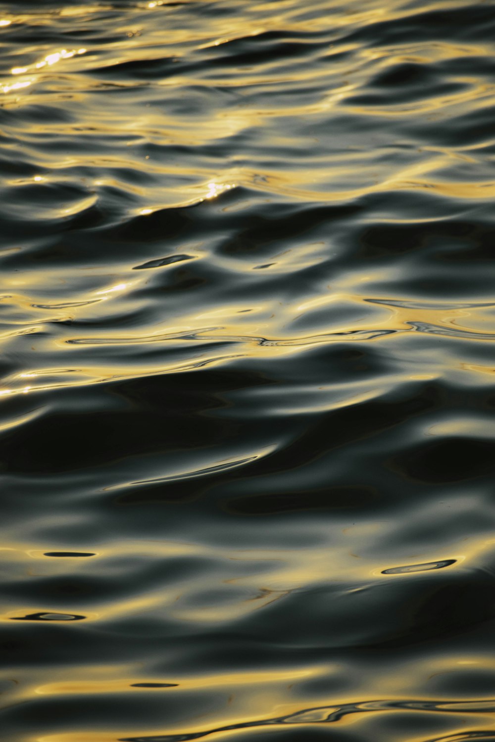 a bird flying over the top of a body of water