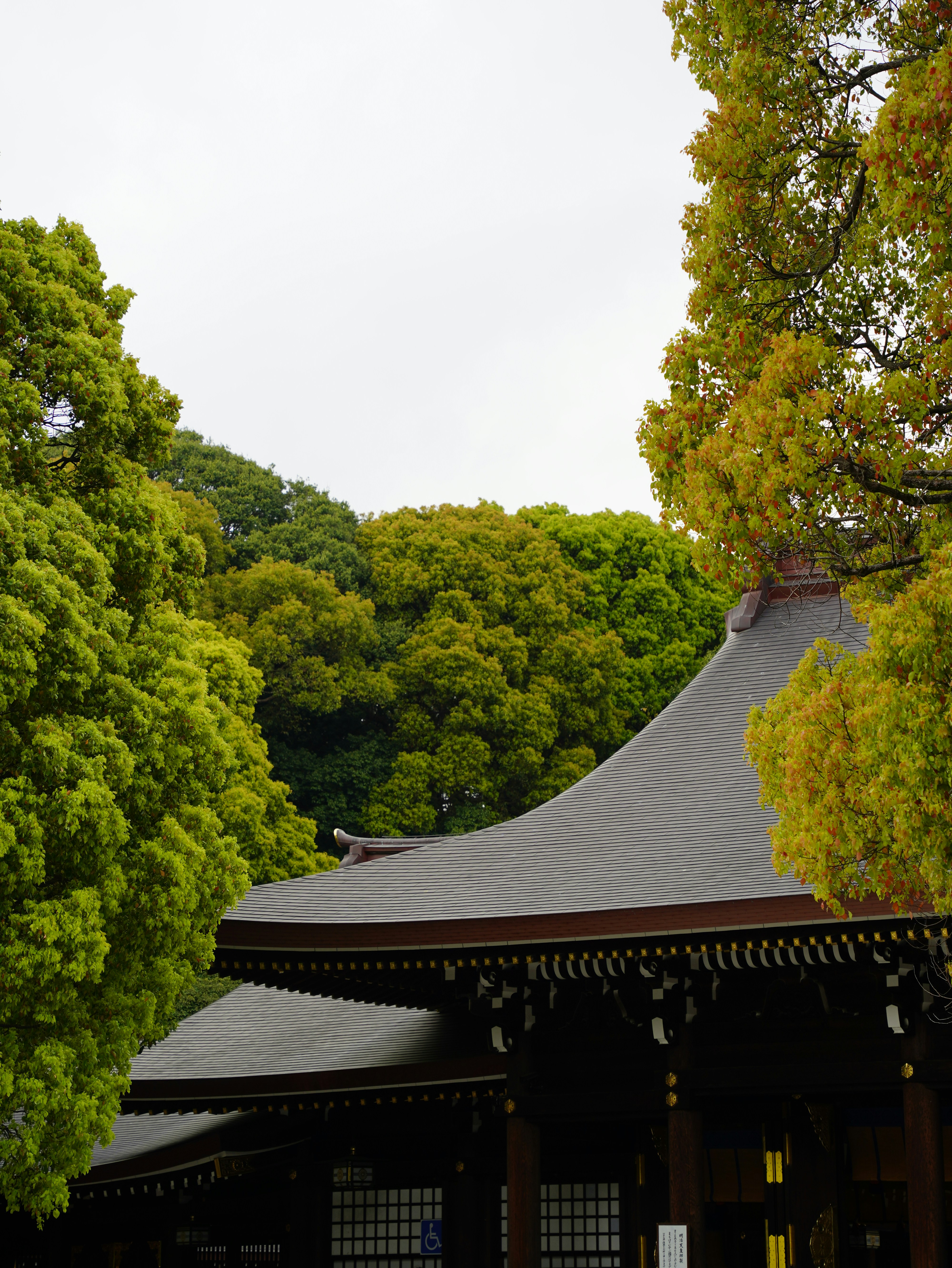 Photo by shpetimujkani