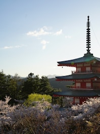 A serene landscape of a traditional Japanese temple surrounded by cherry blossom trees in full bloom.