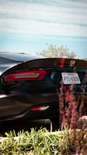 A sleek black sports car with red detailing and a Texas license plate is parked, partially obscured by greenery. The rear end of the car, featuring a distinct red stripe and logo on the spoiler, is prominent. In the background, a clear sky and some trees are visible.