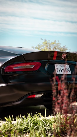 A sleek black sports car with red detailing and a Texas license plate is parked, partially obscured by greenery. The rear end of the car, featuring a distinct red stripe and logo on the spoiler, is prominent. In the background, a clear sky and some trees are visible.