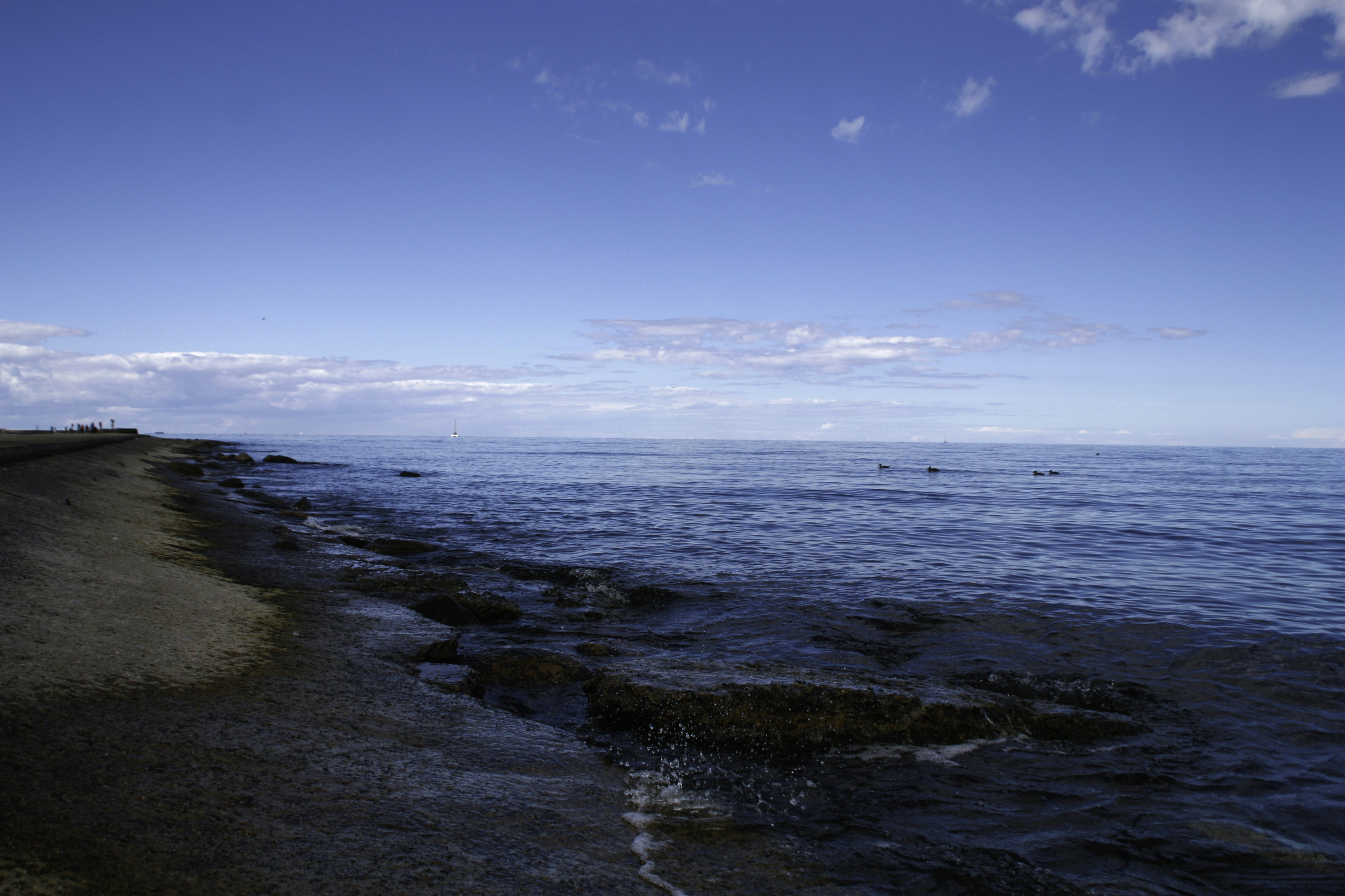 Photo by yaroslav_kush