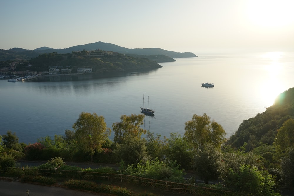 a body of water surrounded by trees and mountains