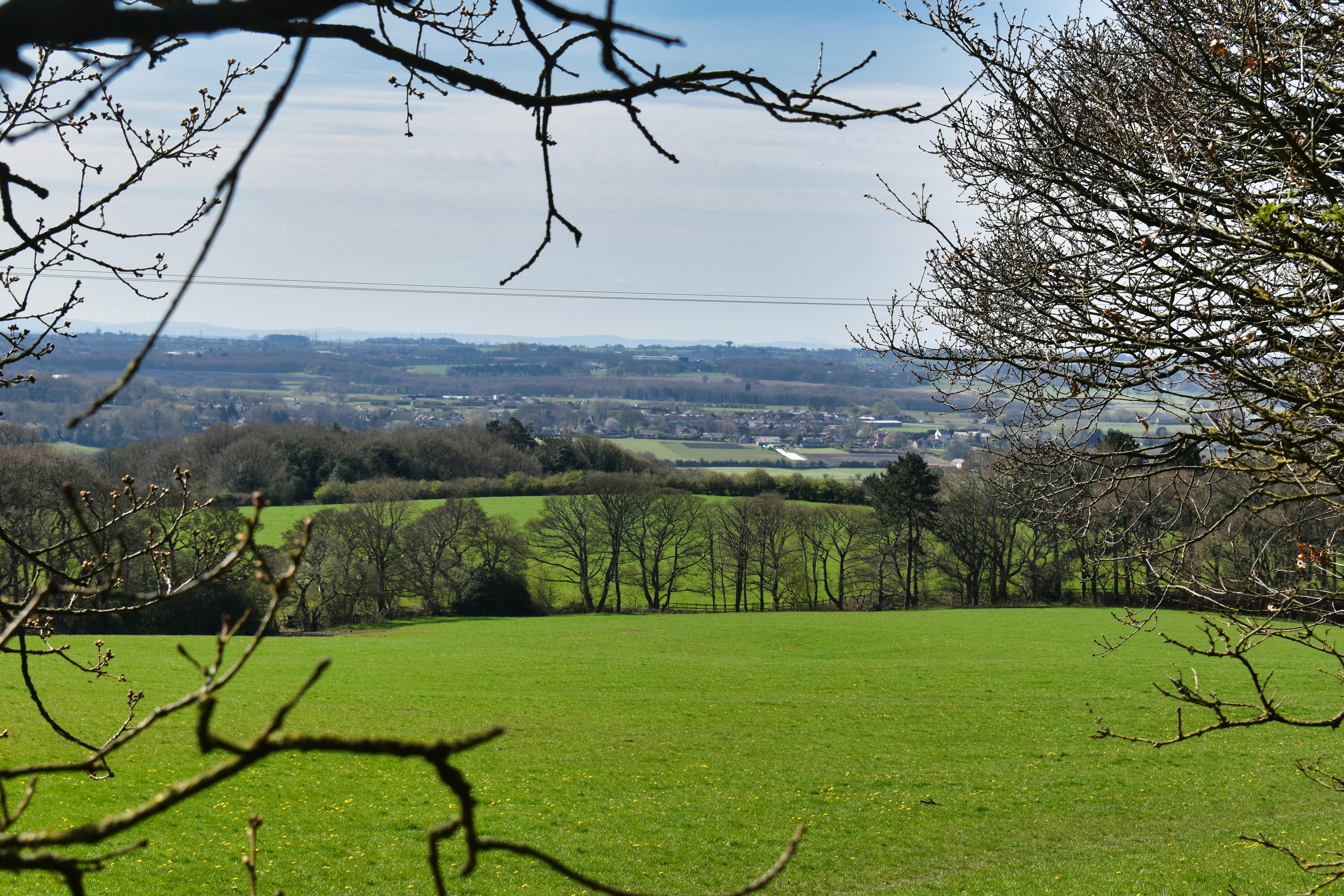 Photo by andrew_hall