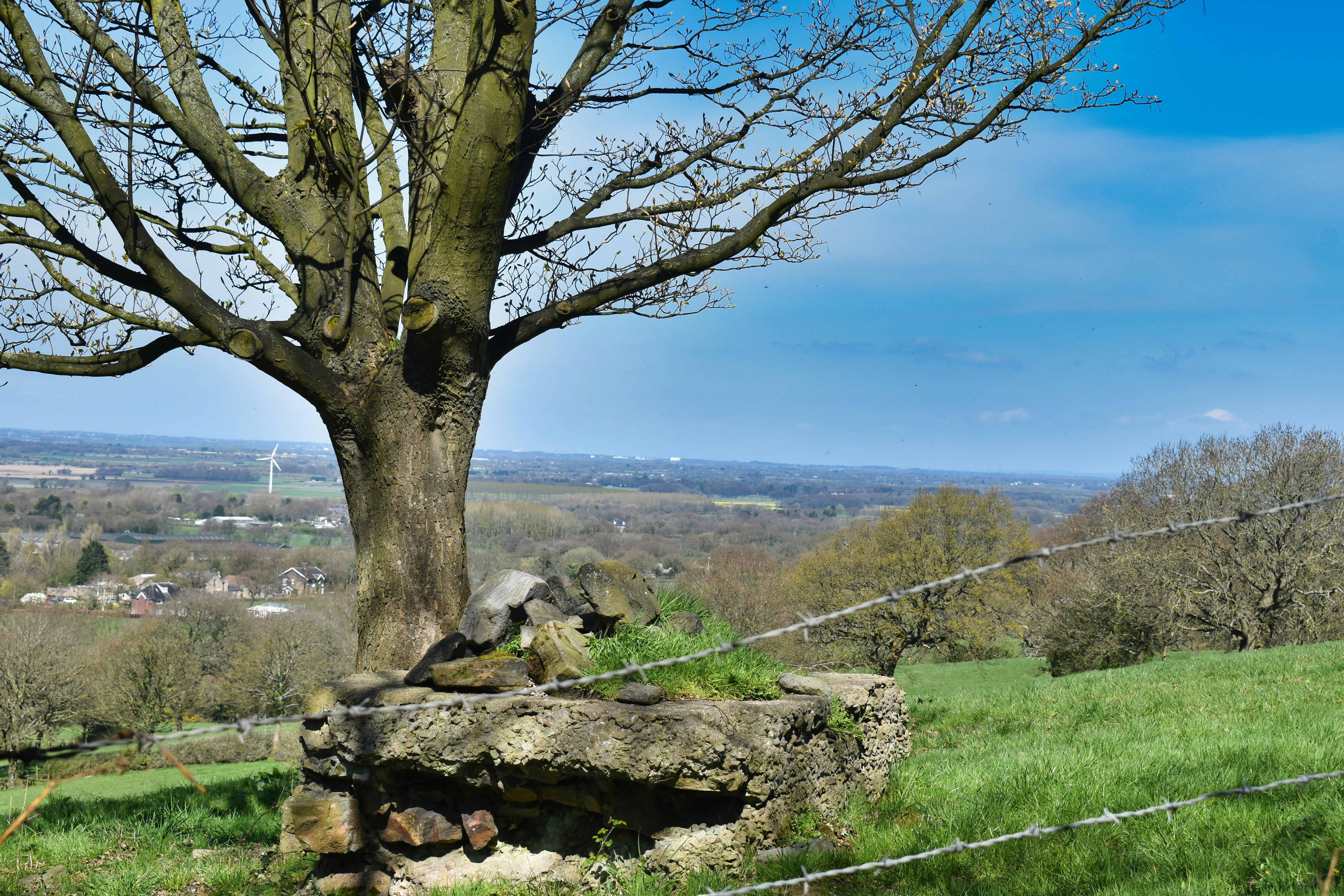 Photo by andrew_hall