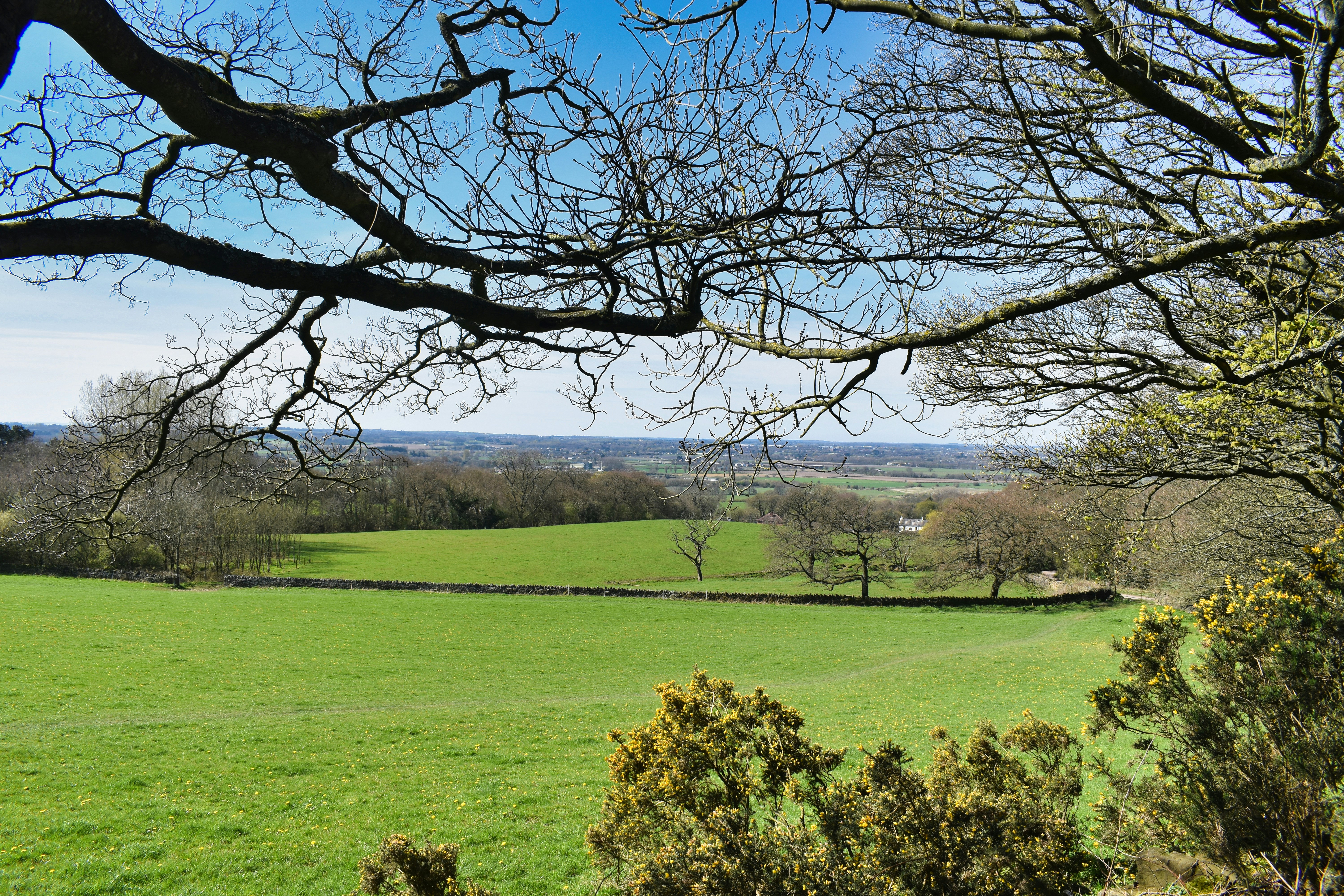 Photo by andrew_hall