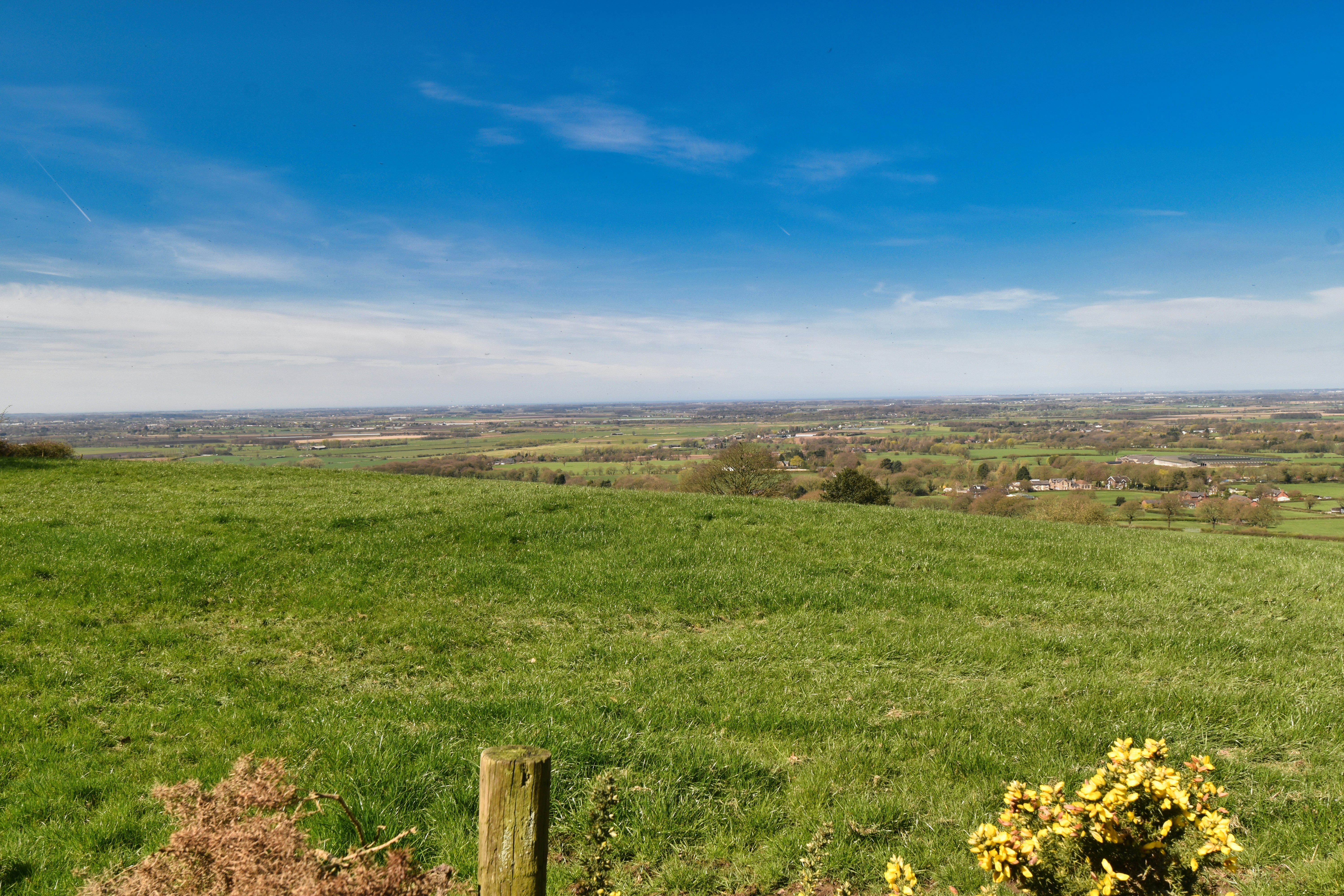 Photo by andrew_hall