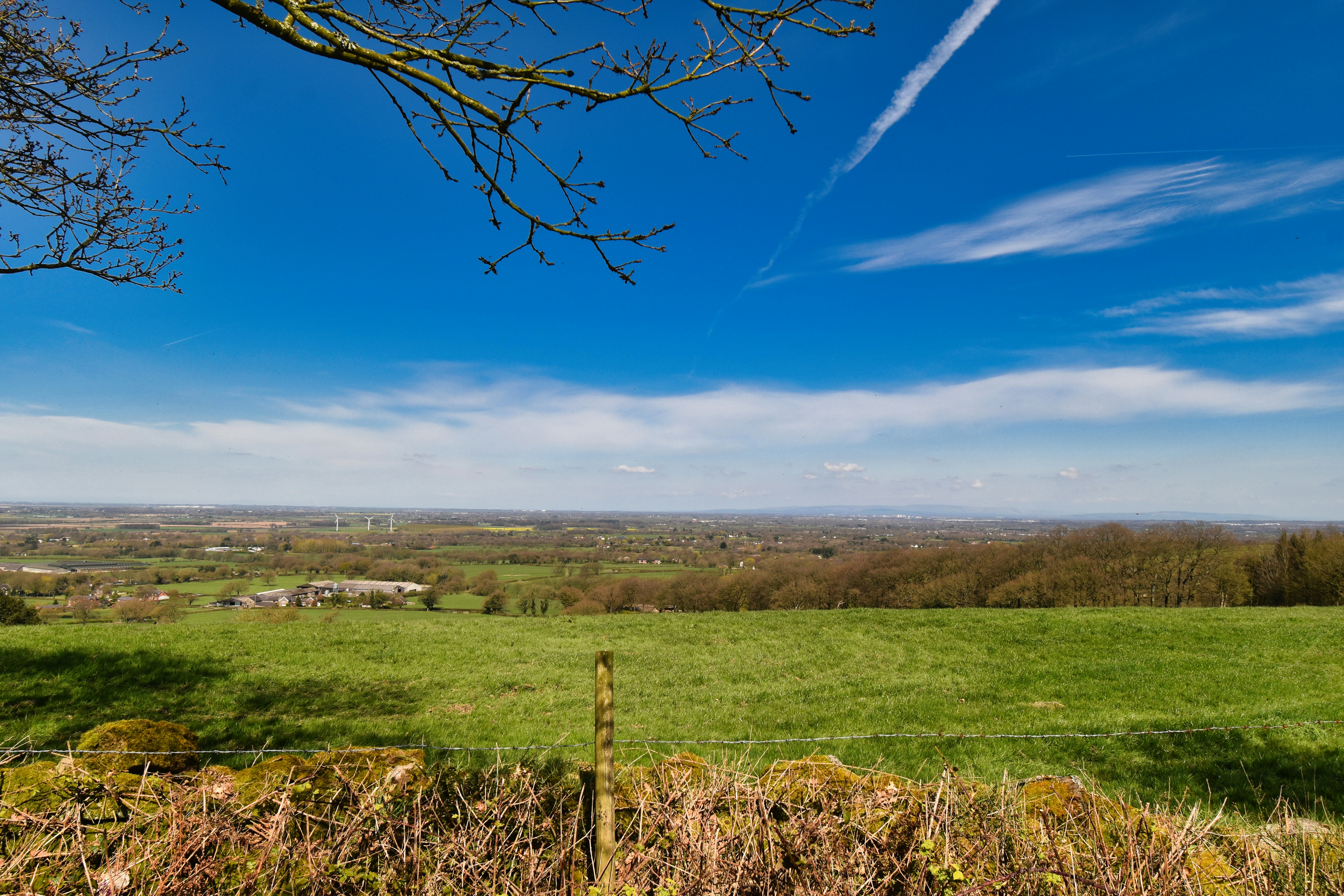 Photo by andrew_hall