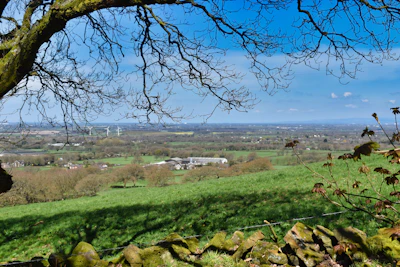 A panoramic view of a solar farm with wind turbines under a clear blue sky.
