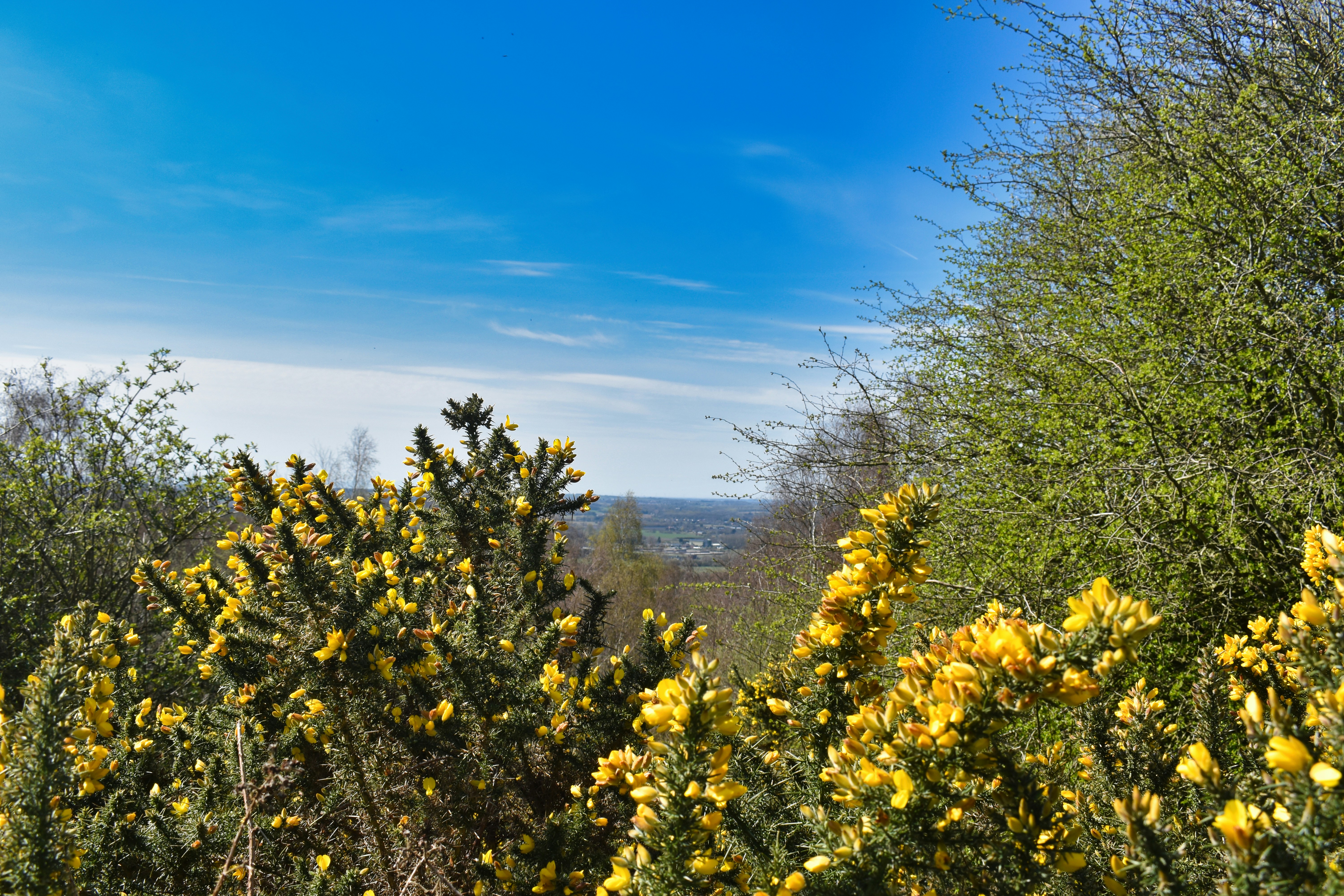 Photo by andrew_hall