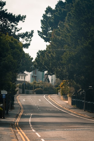 A calm and focused driving lesson taking place on a quiet suburban road.