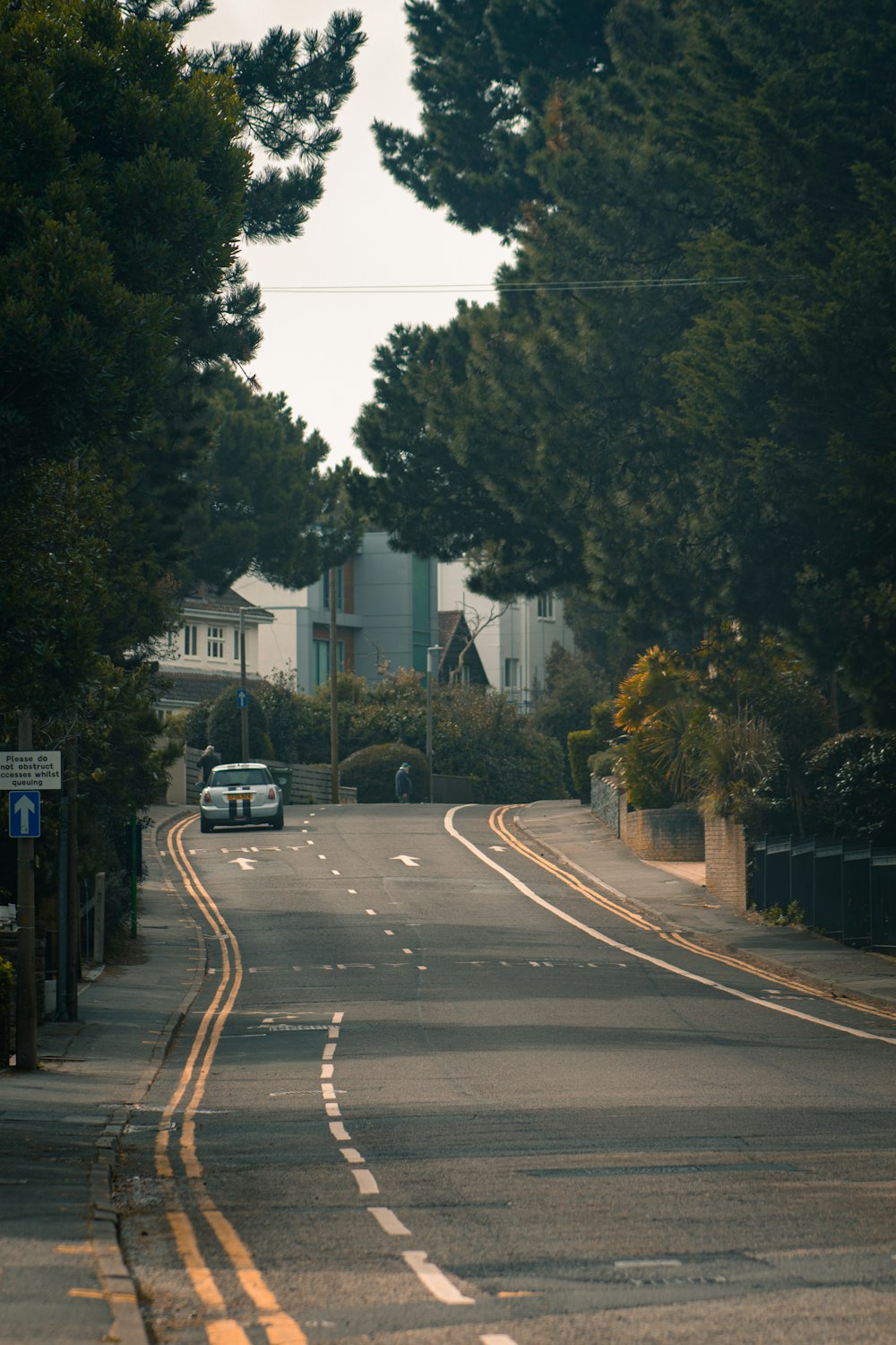 a car driving down a street next to tall trees