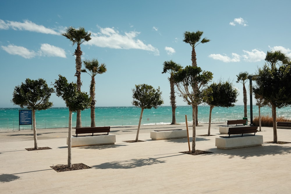 a row of benches sitting on top of a sandy beach