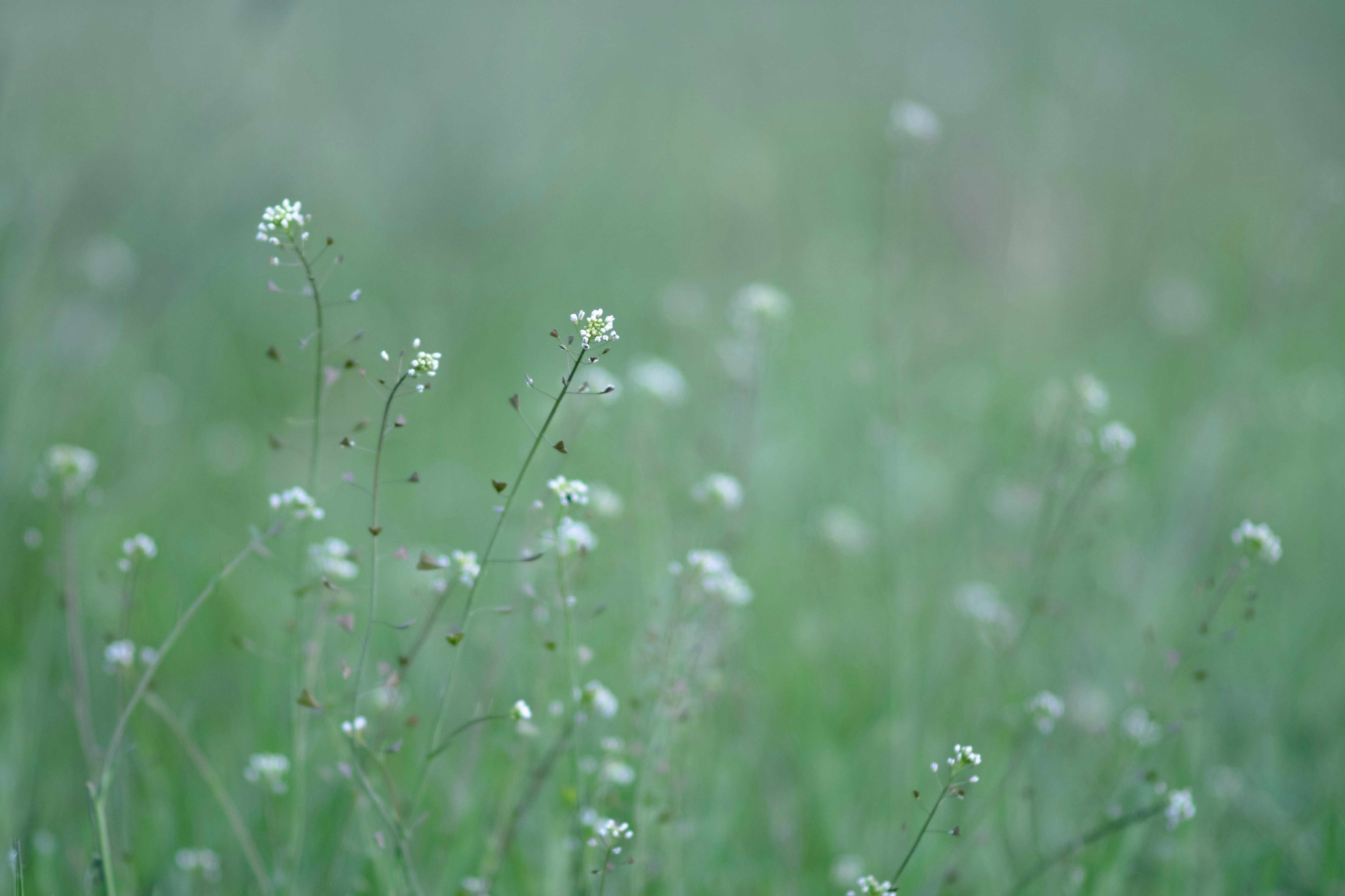 Photo by sevencolors