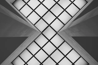Abstract black and white shot of intersecting grid lines forming a precise pattern.
