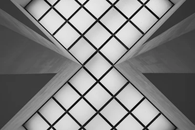 Abstract black and white shot of intersecting grid lines forming a precise pattern.