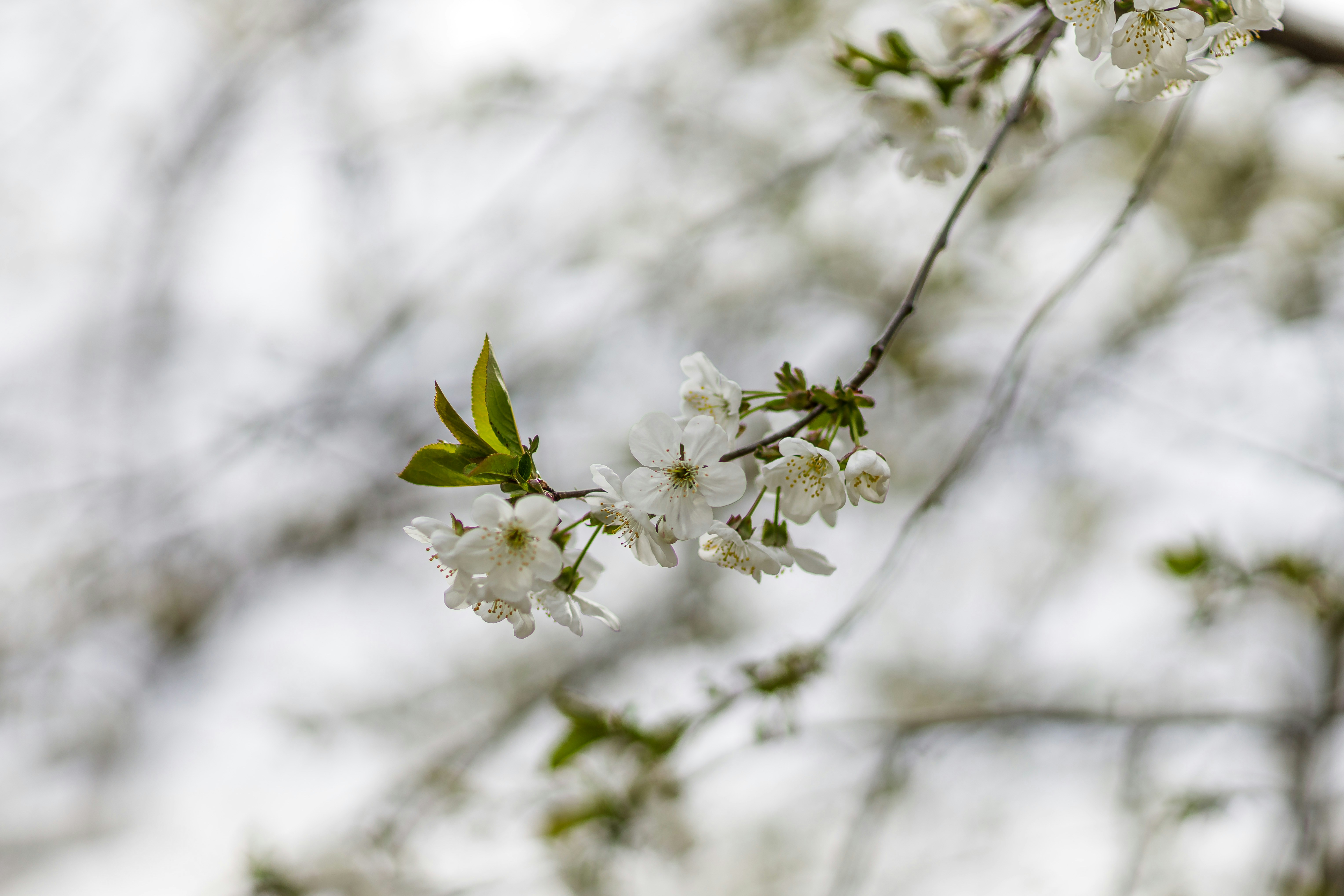 Photo by malygos6000