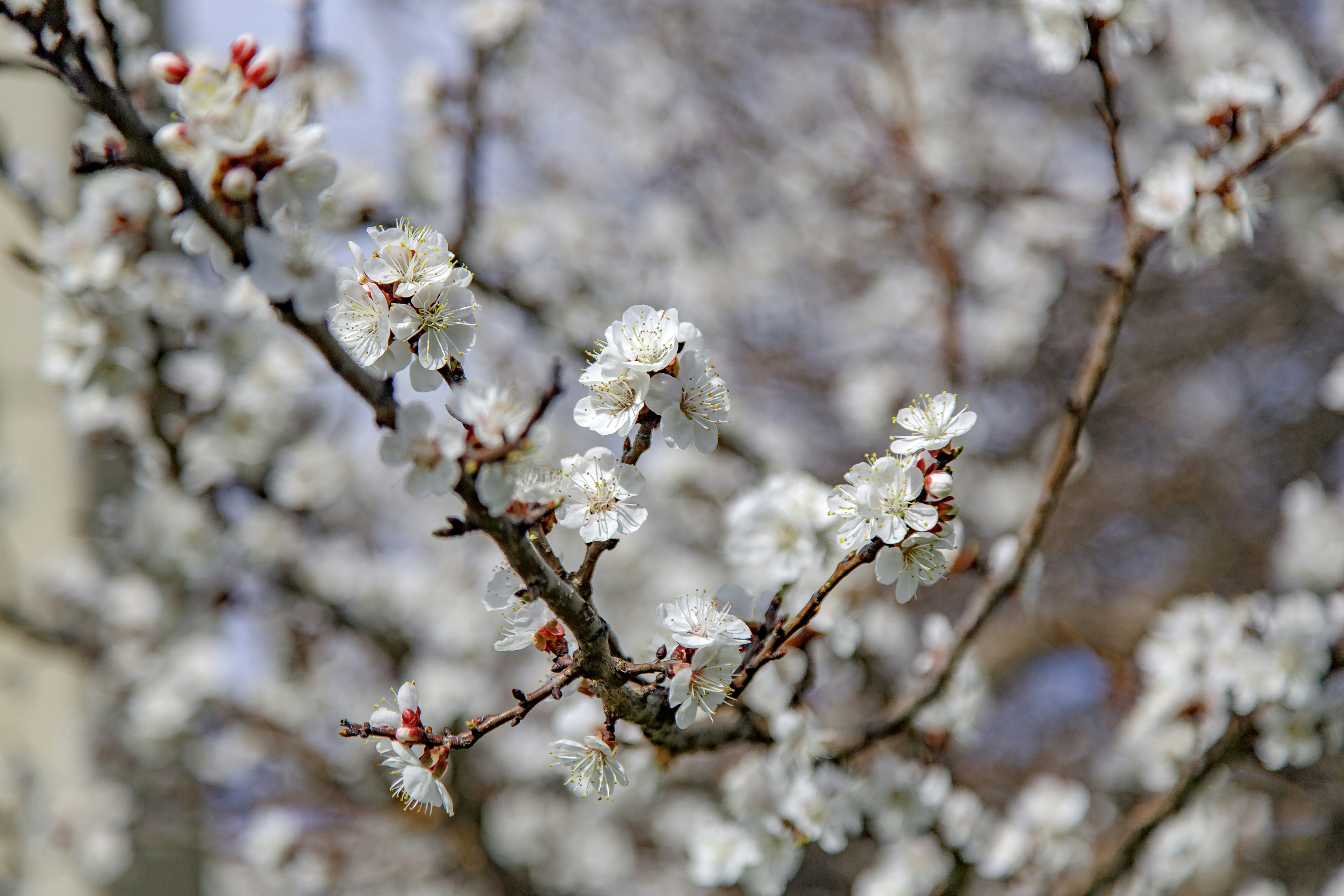 Photo by malygos6000