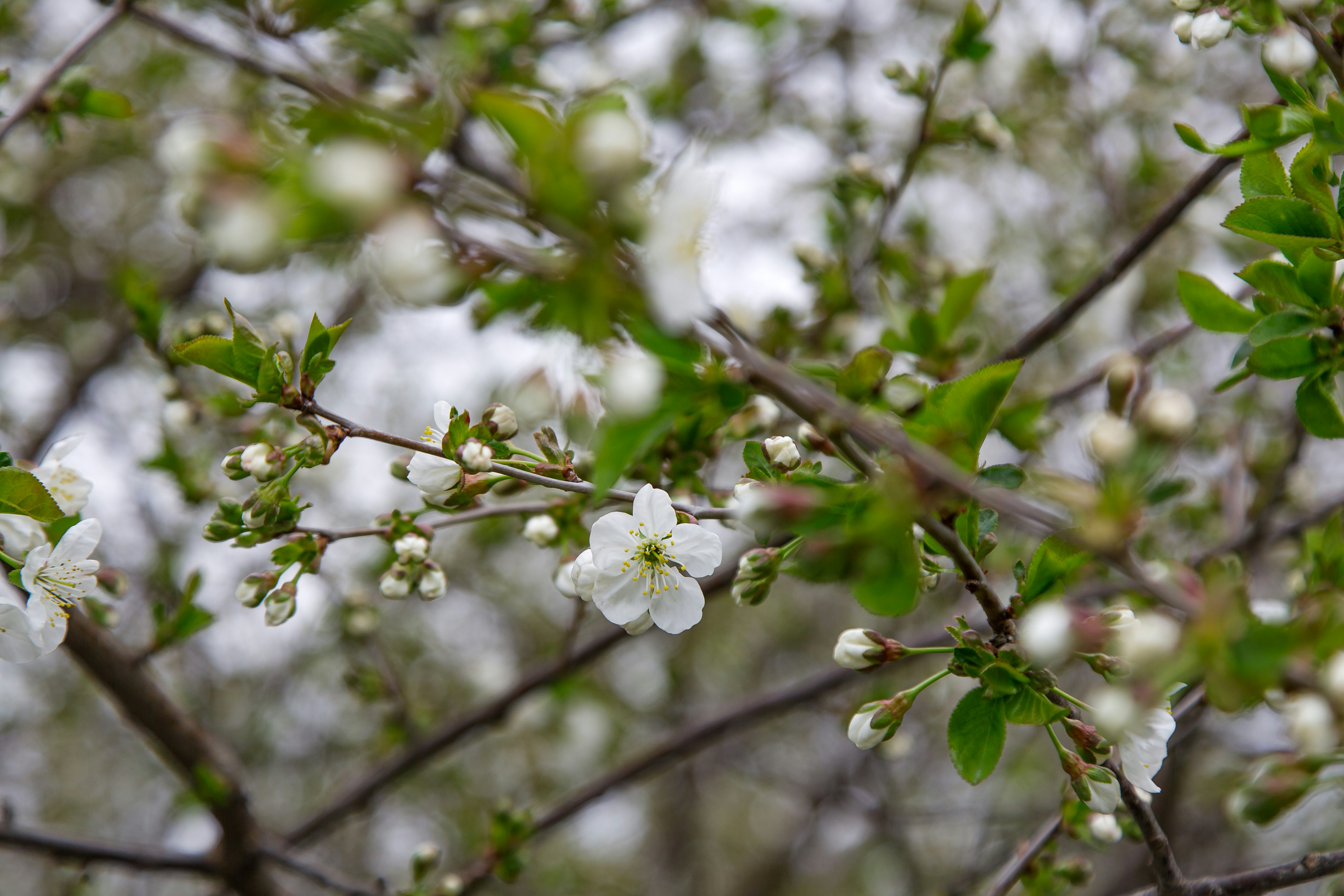 Photo by malygos6000