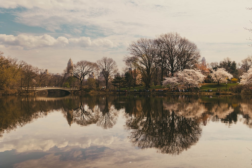 a body of water surrounded by trees and a bridge