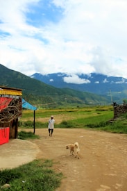 A person walking along a dirt path in a rural setting, accompanied by a dog. The background features lush green fields, with a backdrop of majestic mountains partially covered by clouds. A small building with a sign for stone painting stands on the left with wooden and red elements.