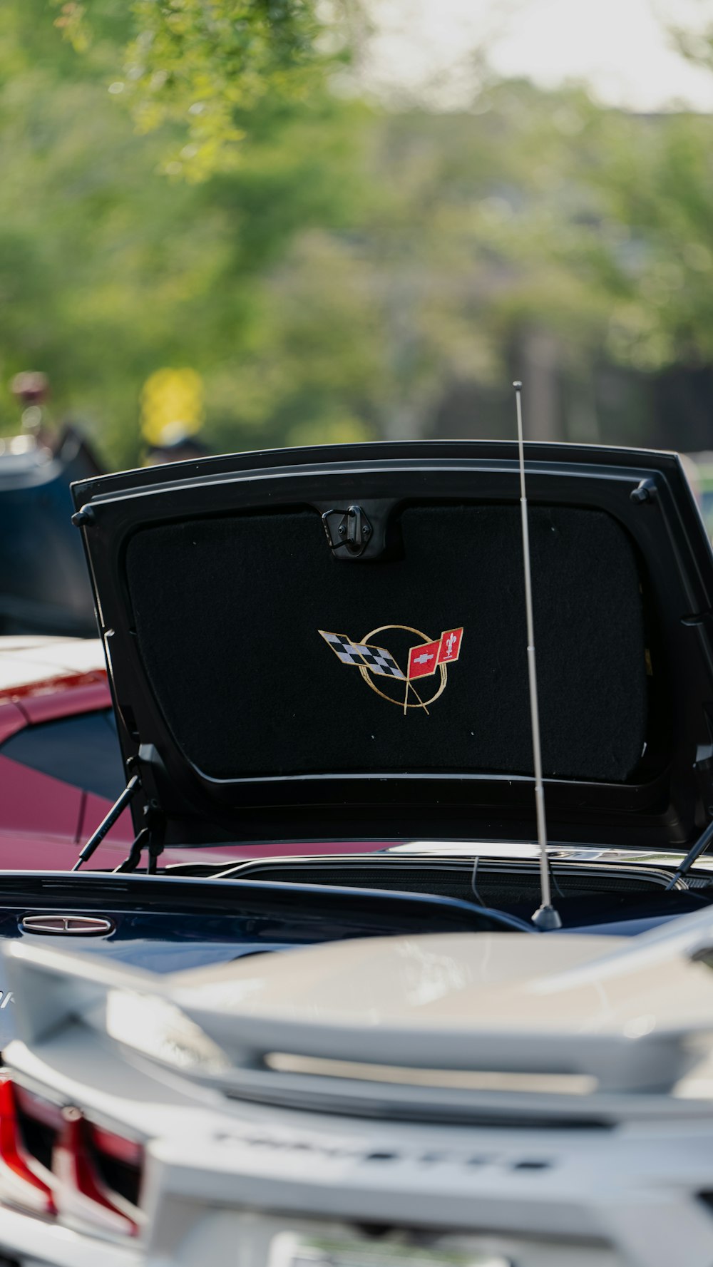 the back of a car with its trunk open