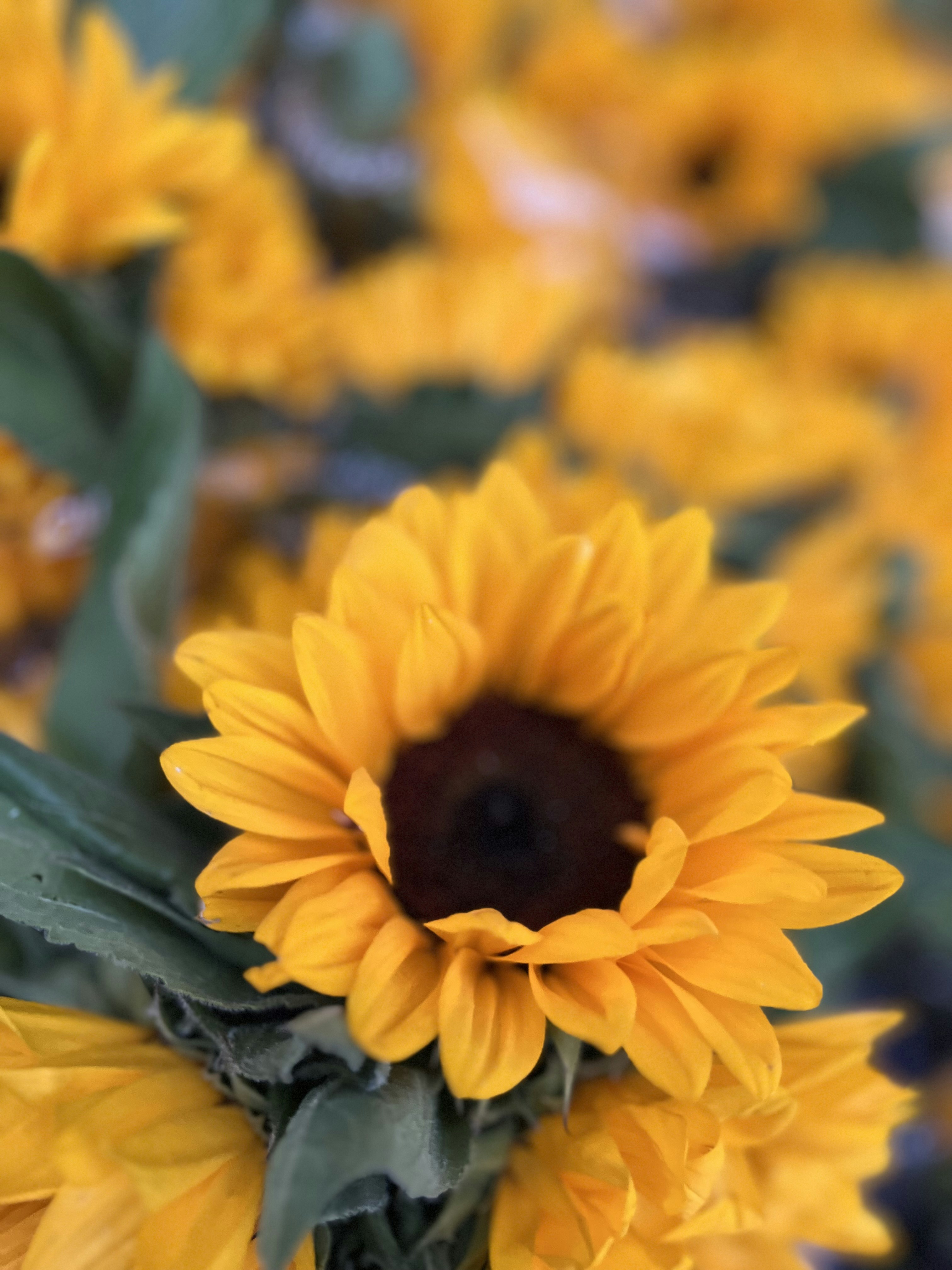 Photo by clemmmchrls