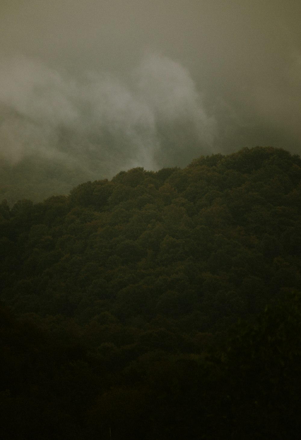 a hill covered in trees under a cloudy sky
