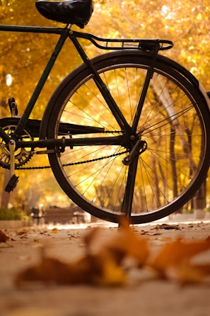 a bicycle parked next to a bench in a park