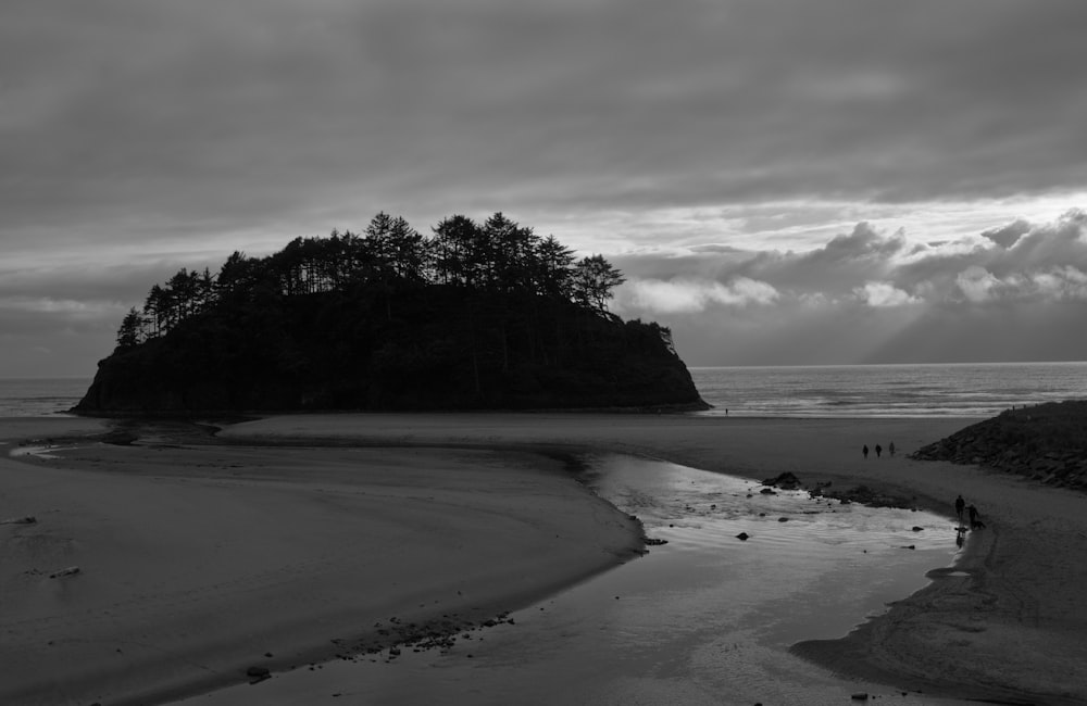 a black and white photo of a small island