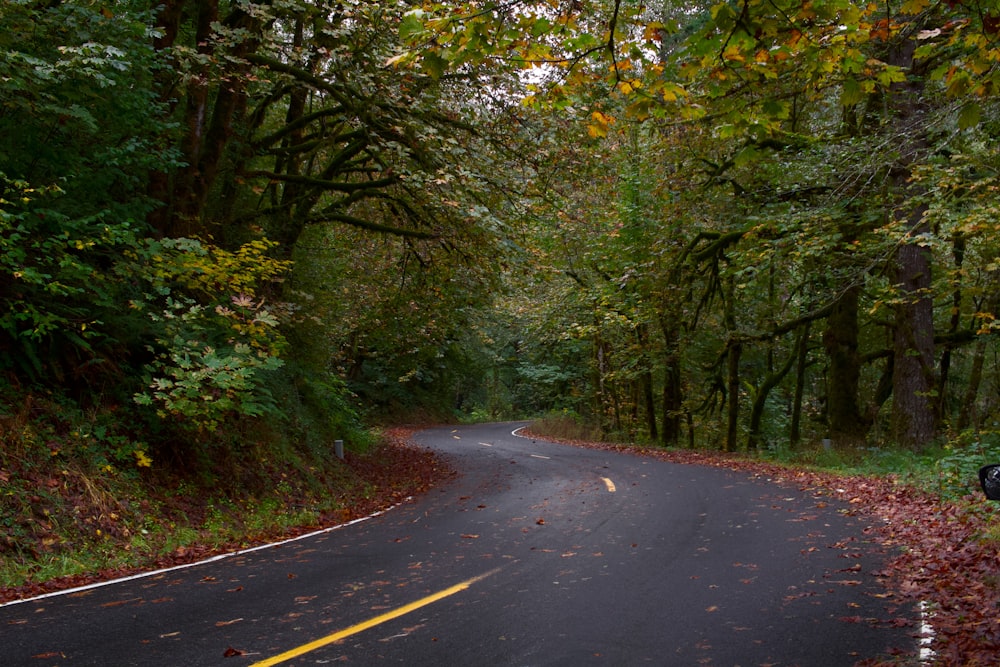 a road in the middle of a wooded area