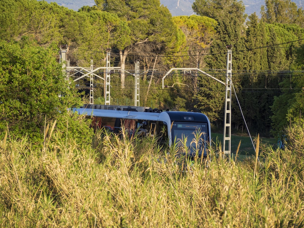 a blue train traveling through a lush green forest