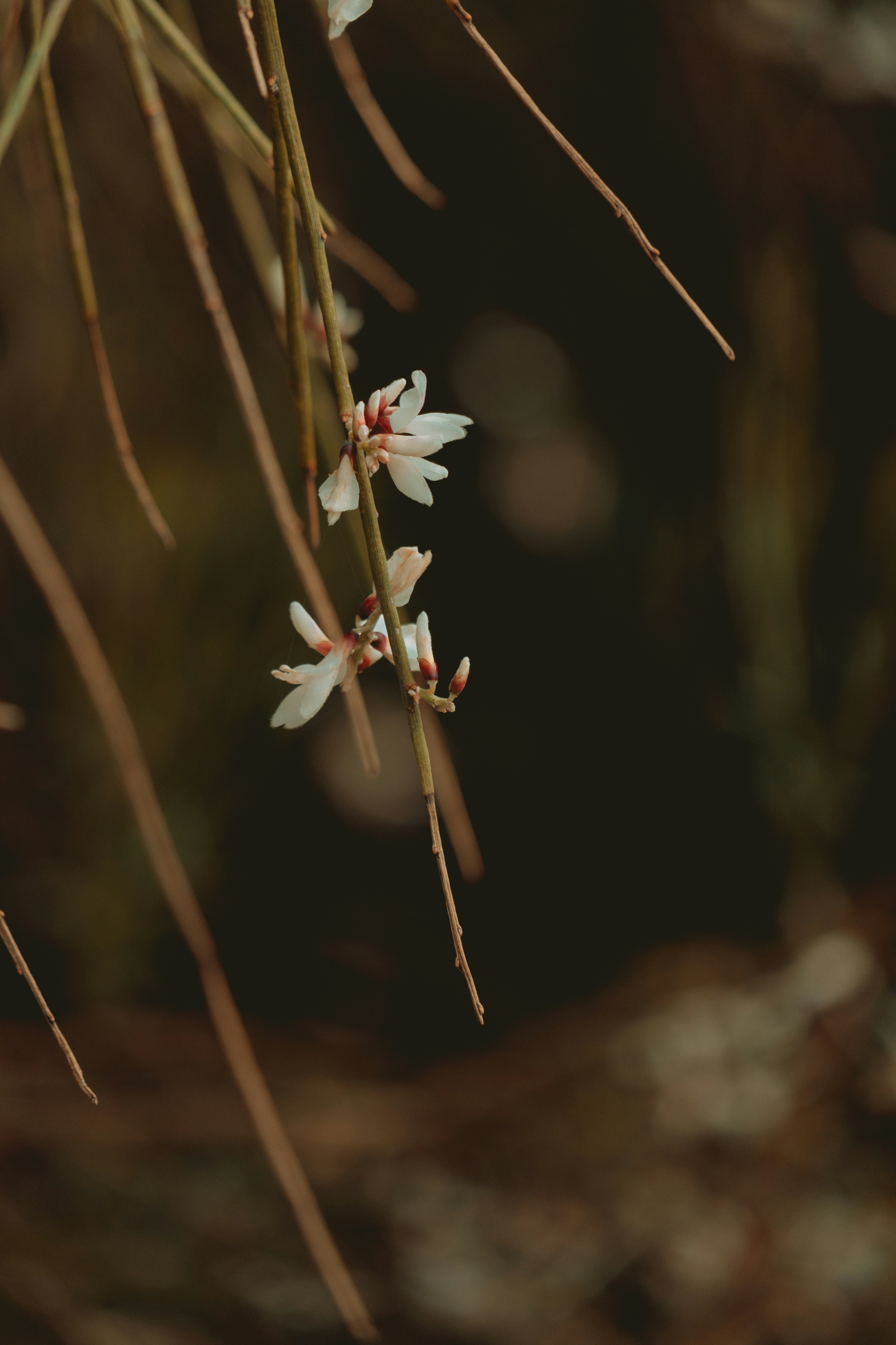 Photo by beavallejo