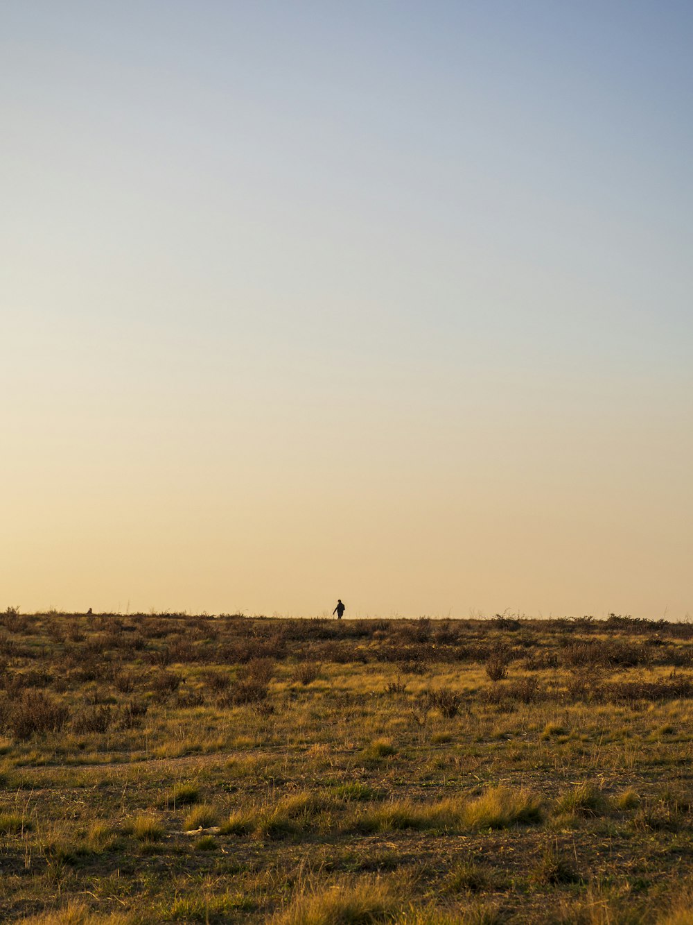 a lone person is flying a kite in a field