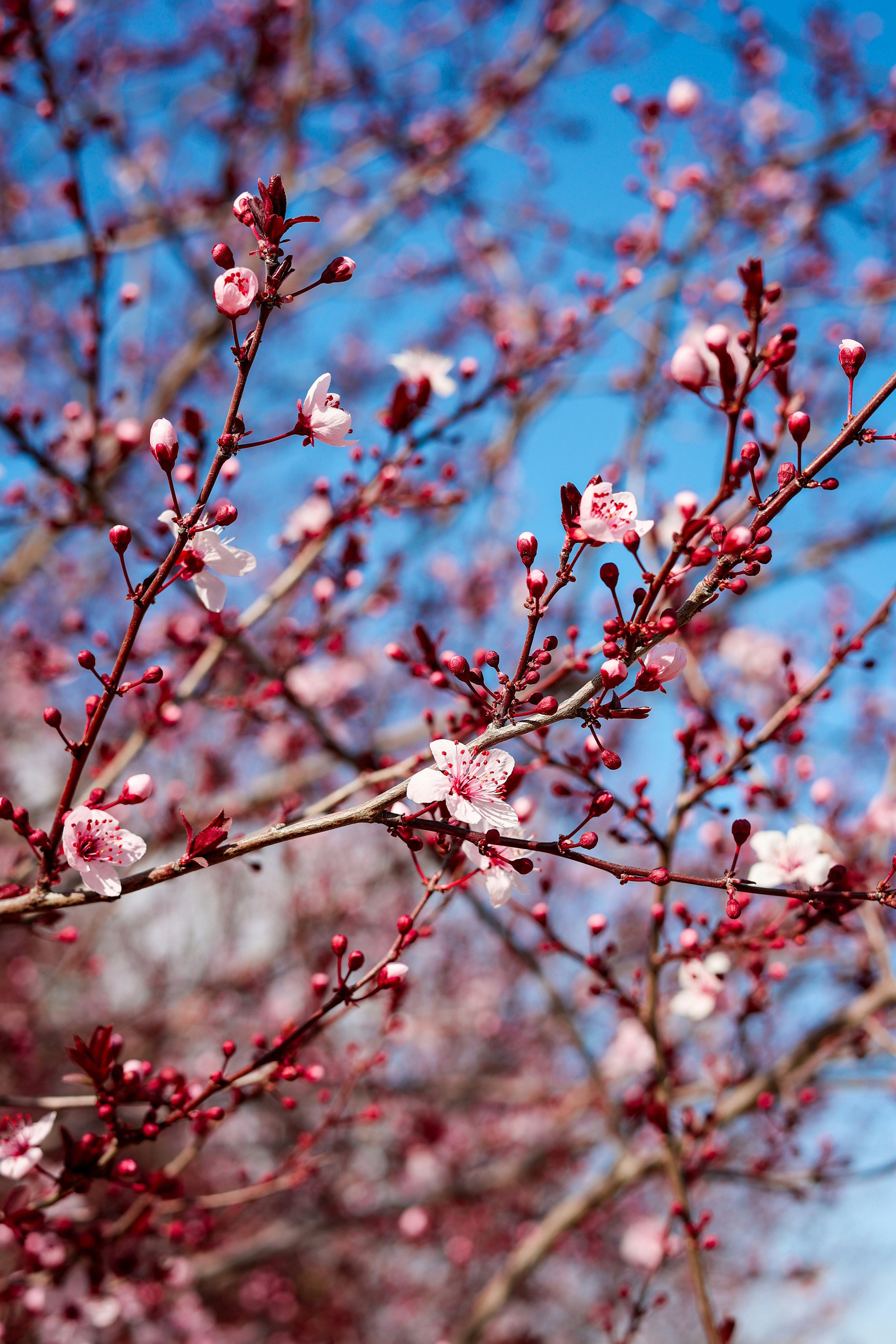 Photo by tahani_jaradat