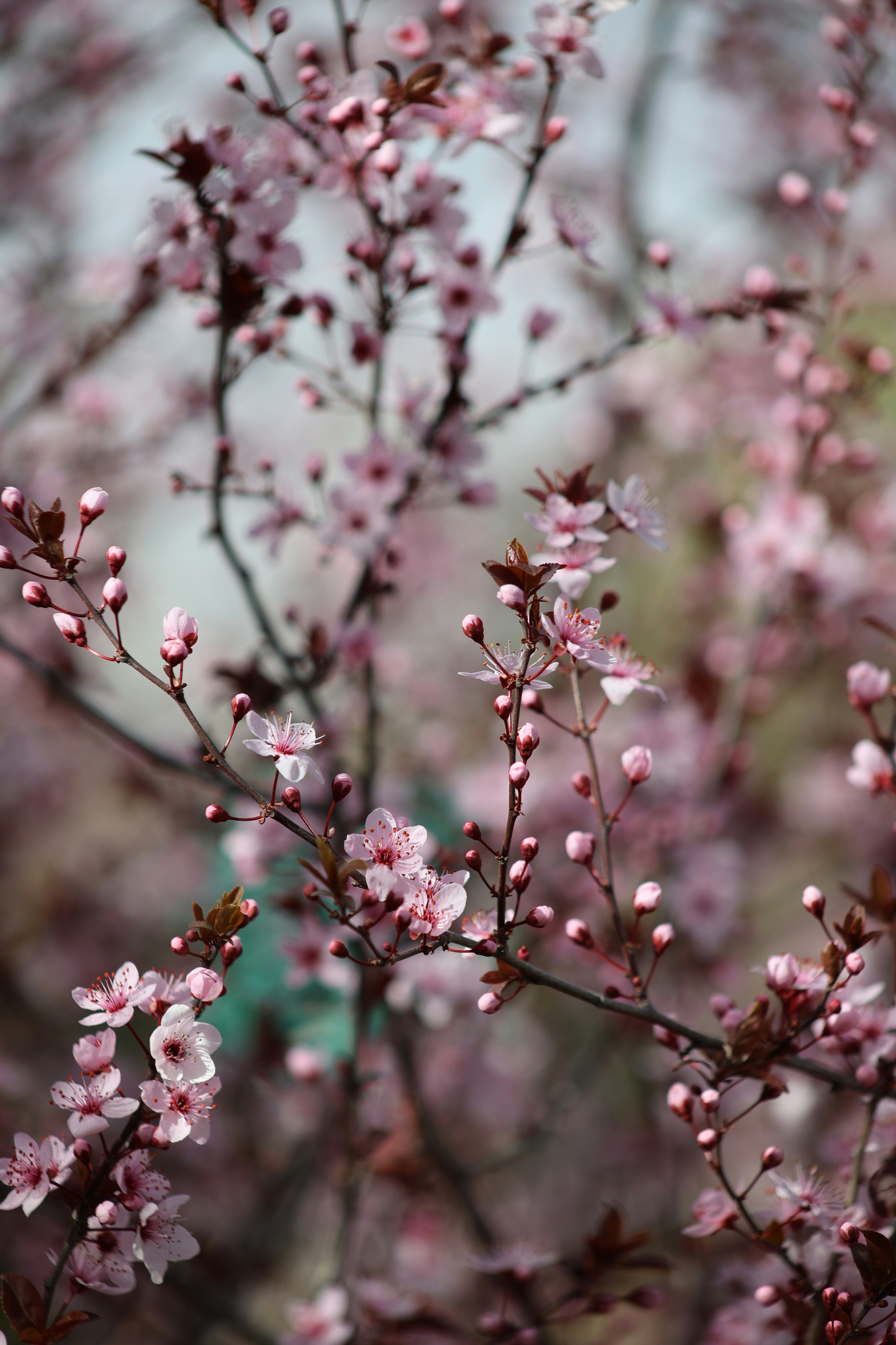 Photo by tahani_jaradat