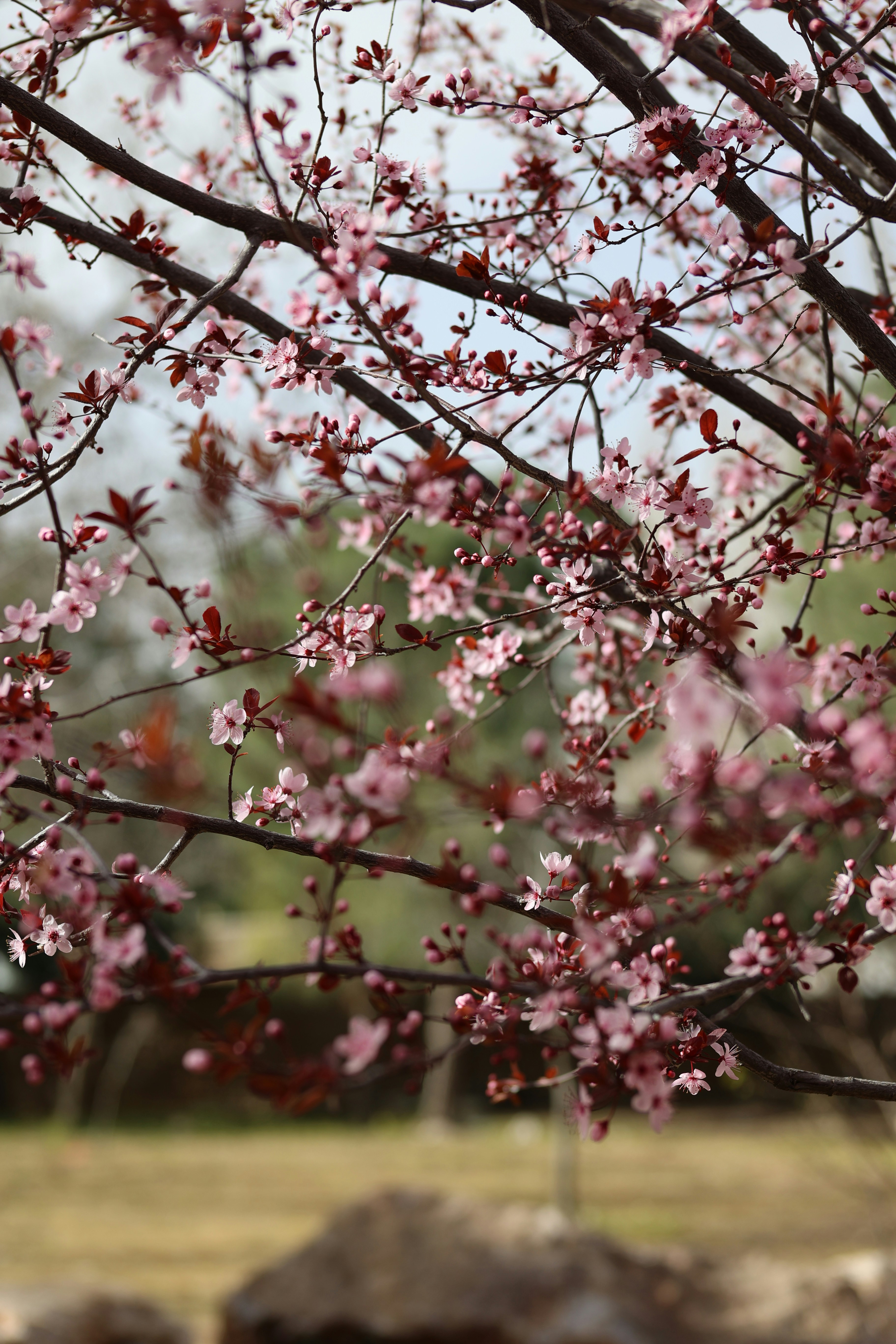 Photo by tahani_jaradat